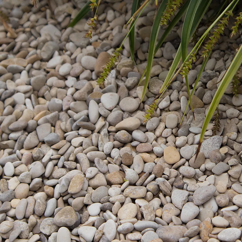 Champagne-beige Castle grind met natuurlijk afgeronde korrels
